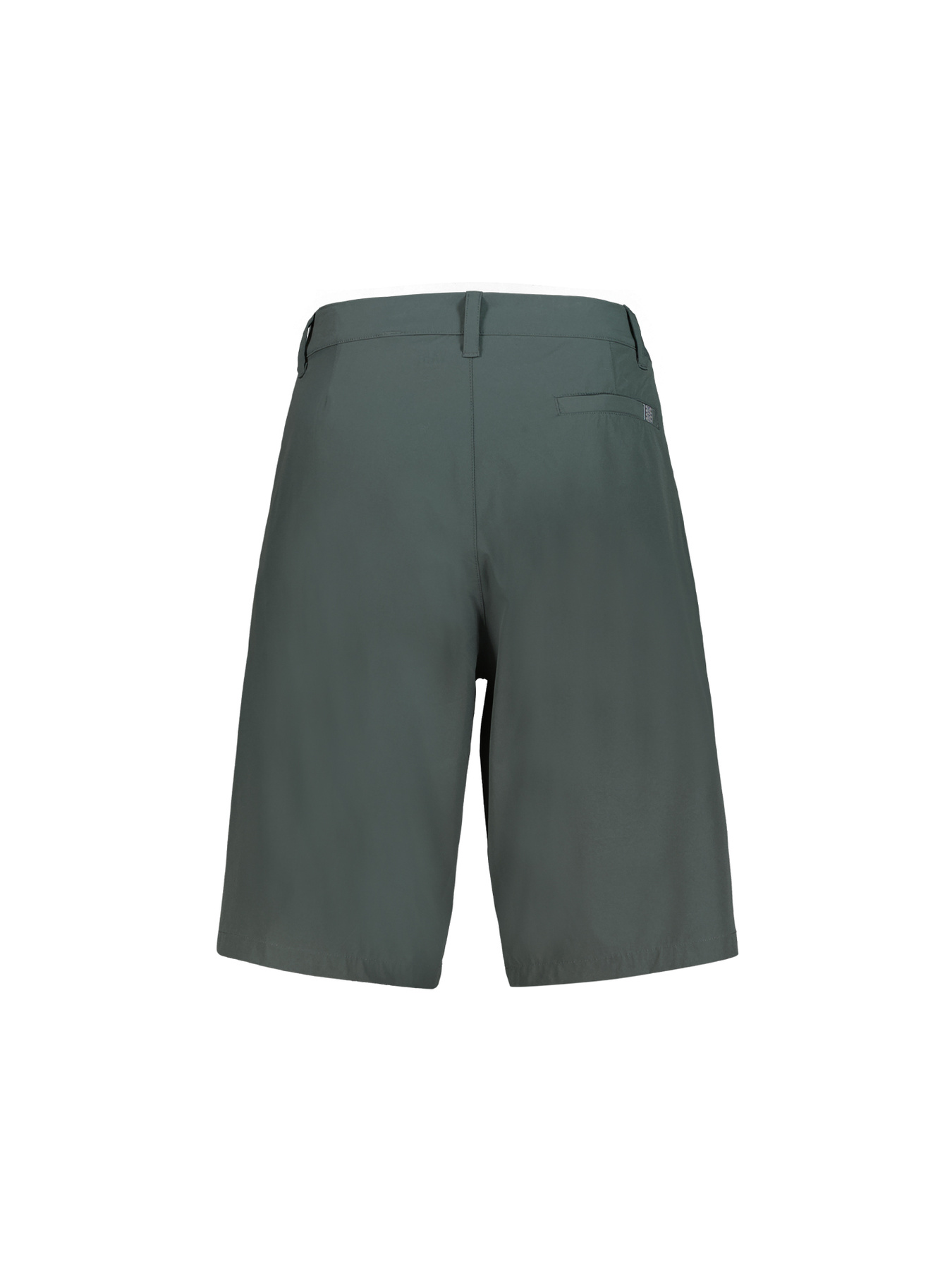 W Lofoten Cargo Shorts