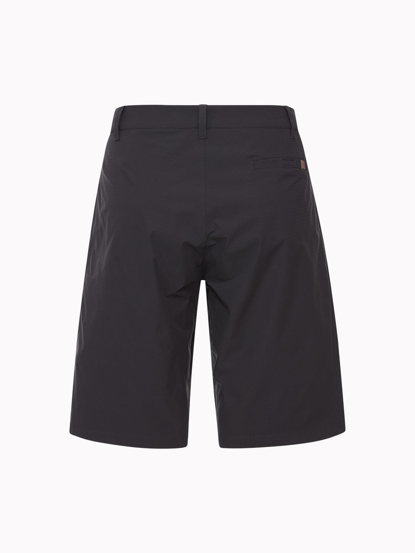 W Lofoten Cargo Shorts 2.0